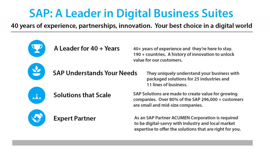 What is SAP experience?